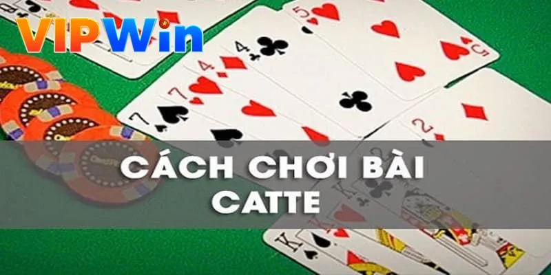 catte-vipwin-cach-choi