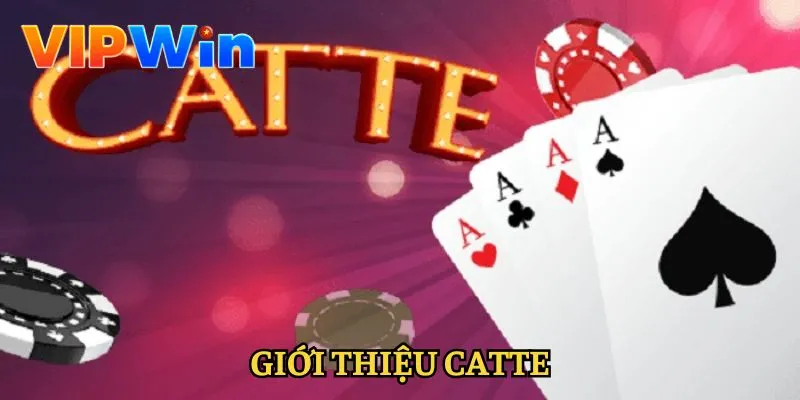 catte-vipwin-gioi-thieu