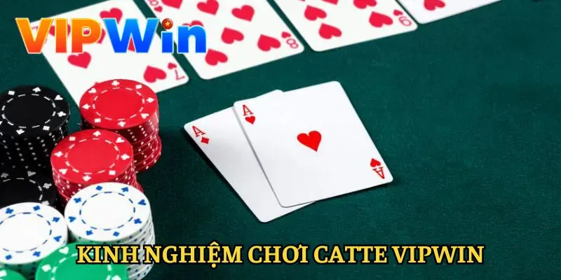 catte-vipwin-kinh-nghiem-choi