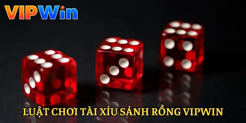 tai-xiu-sanh-rong-vipwin-quy-dinh-luat-choi