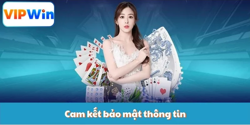 vipwin-cam-ket-bao-mat-thong-tin