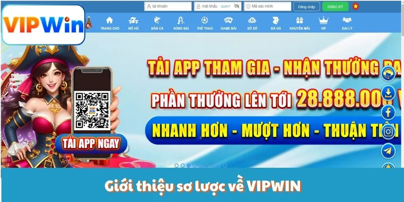 vipwin-gioi-thieu-so-luoc-ve-vipwin