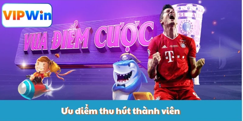 vipwin-uu-diem-thu-hut-thanh-vien