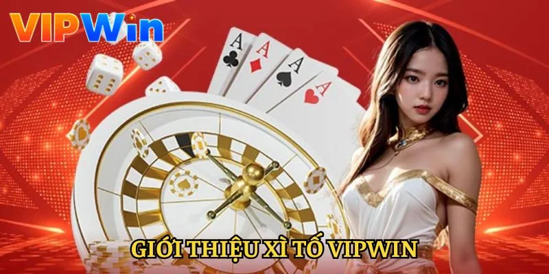 xi-to-vipwin-gioi-thieu