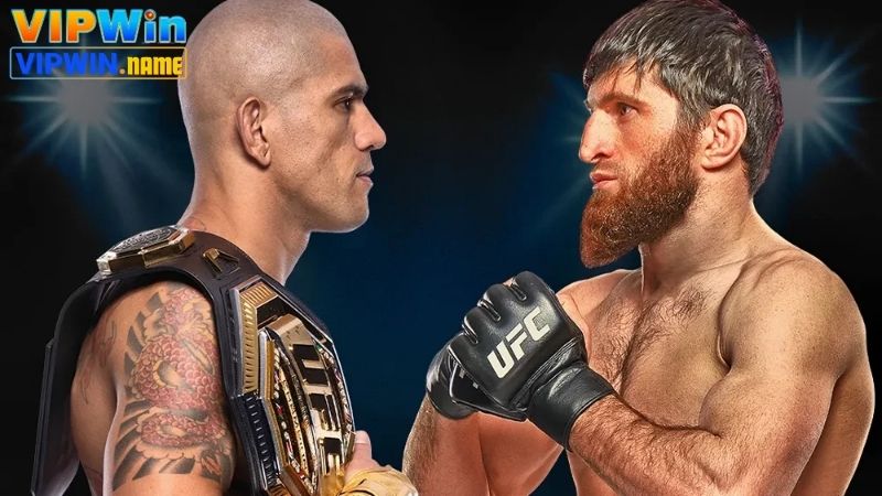 UFC cá cược trực tuyến