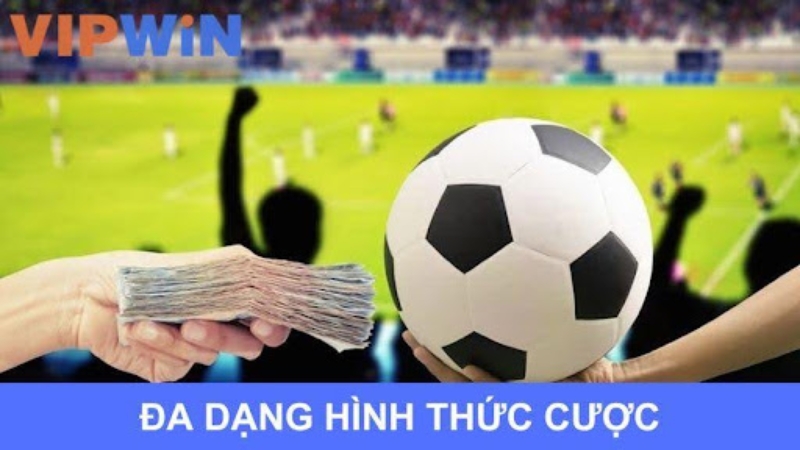 Đa dạng hình thức cá cược hấp dẫn