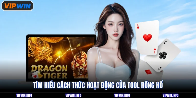 Tool Rồng Hổ Nào Tốt Nhất Hiện Nay? Có Nên Dùng Hay Không? 2 Tìm hiểu cách thức hoạt động của tool Rồng Hổ